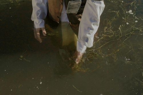 A person assessing water quality, standing in a lake with visible pollution.