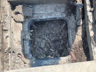 Litta Trap Ready to be emptied. 