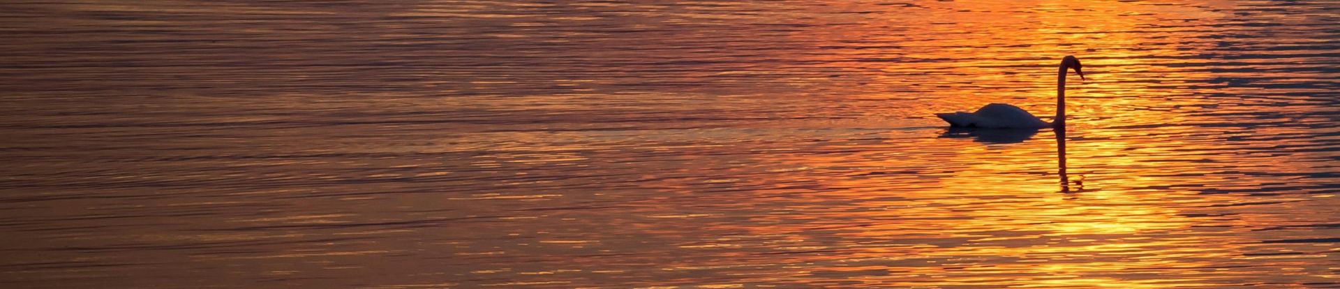 Two people enjoying kayaking on Kali River surrounded by lush greenery in Dandeli, India.